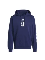 USA FIFA World Cup 2026 Graphic Hoodie
